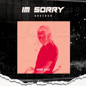 I'm Sorry by Sheider