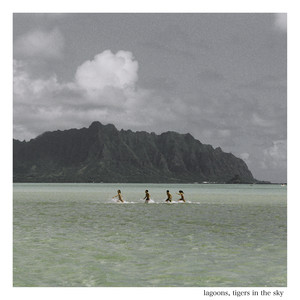 Oceans by Tigers in the Sky