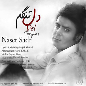 DelTangam — Naser Sadr cover art