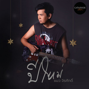 ปีใหม่ by แมว จิรศักดิ์