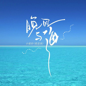晚风与海（DJ版） by 小梁的