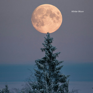 Winter Moon by Timothy Reisen