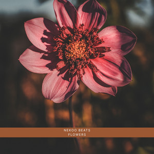 Flowers by Nekoo