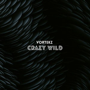 Crazy Wild - Radio Edit by Vortekz