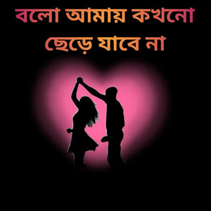 বলো আমায় কখনো ছেড়ে যাবে না