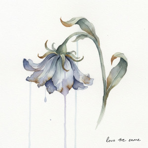 love the same by BAD !DEA