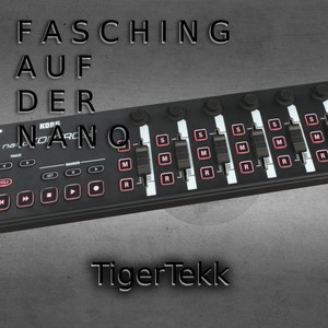 F A S C H I N G A U F D E R N A N O