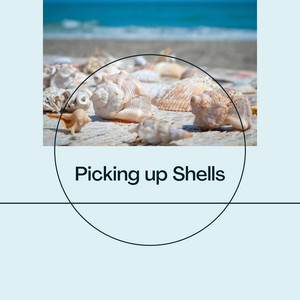 Picking up Shells album