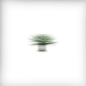 El Puente a Terabithia