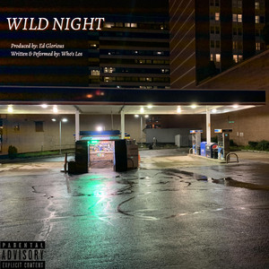 Portada de Wild Night