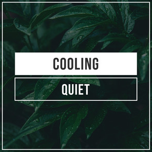 # 1 Album: Cooling Quiet album