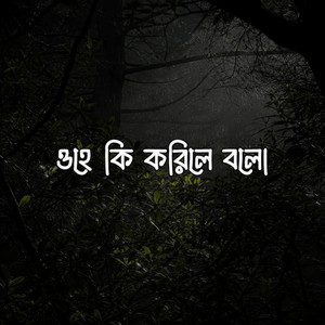ওহে কি করিলে বলো (Ohe ki korile bolo) by Vortexia Cover