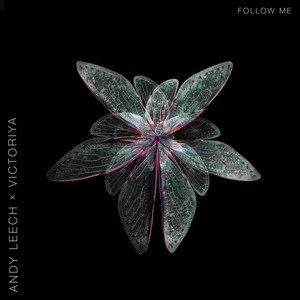 Follow Me by Andy Leech, Victoriya