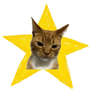 STARCAT7 by Lil Felinesse