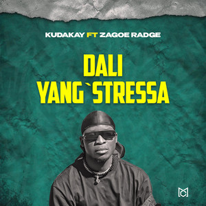 Dali Yangstressa
