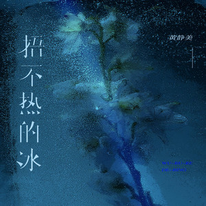 捂不熱的冰(DJEva版) by 黃靜美
