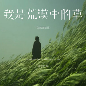 我是荒漠中的草（怎敢奢望谁） by 深井姑娘