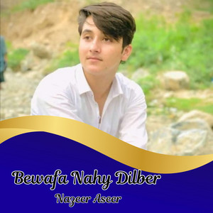 Nazeer Aseer - Balkyn Me Dama