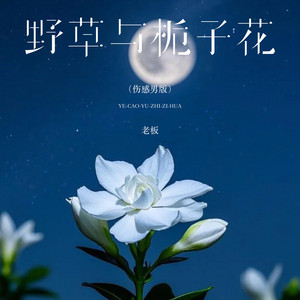野草与栀子花 - 伤感男版 by 老板