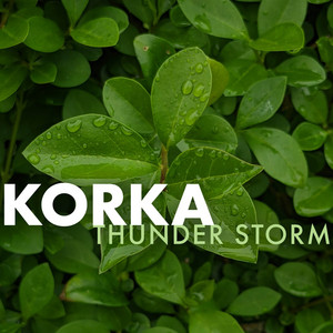 Korka Thunderstorm album