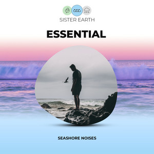 Essential Seashore Noises album