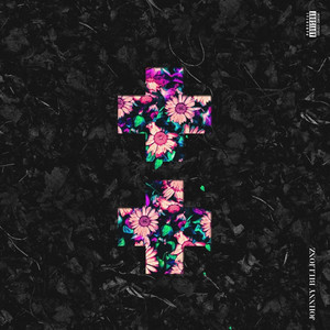 C.F.D.+ by Johnny Billionz, Maroon Riddimz