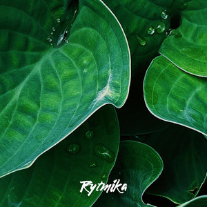 boiarchuk — Rytmika