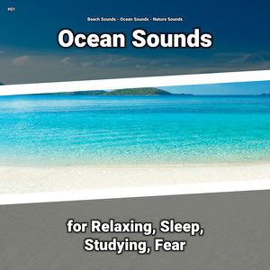 #01 Ocean Sounds for Relaxing, Sleep, Studying, Fear album
