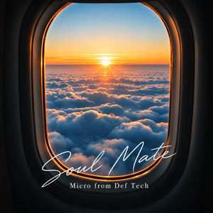 Soul Mate by Micro