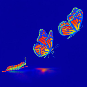 Caterpillar by jeremiah 11:11