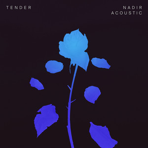 Nadir - Acoustic by TENDER