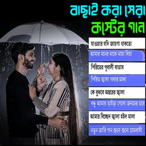 BD Best Song - বাছাই করা সেরার সেরা কস্টের গান