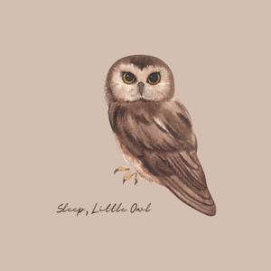 Sleep, Little Owl