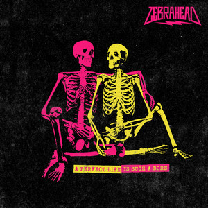 A Perfect Life is Such a Bore by zebrahead