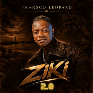 MATALANA by Transco Leopard