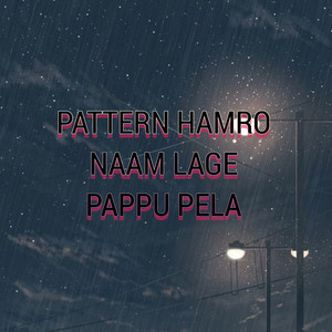 DJ Swarnendu - Pattern Hamro Naam Lage Pappu Pela