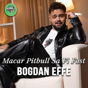 Bogdan Effe - Macar Pitbull Sa Fi Fost
