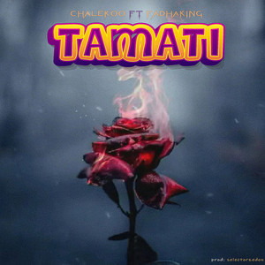 Chalekoo - Tamati (feat. Fadhaking)