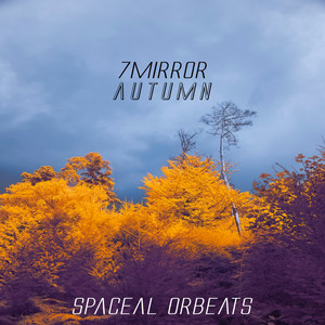 7mirror cover