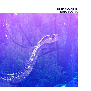 King Cobra by Step Rockets