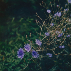 fernspell by Heath Hardy