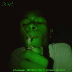 Skyfe by Blxq, 031 THE K1D, Leonardo rsa