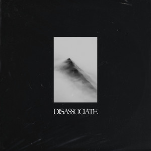 DIS:ASSOCIATE by NEVR CALM