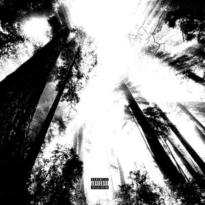 Obsession by YazeDraco, N4kama