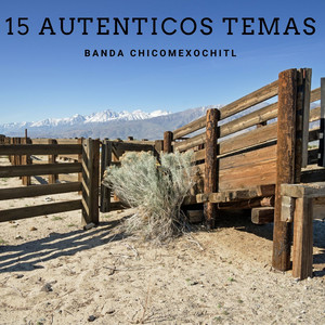 15 Autenticos Temas