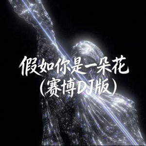 pop - 假如你是一朵花 (赛博DJ版)