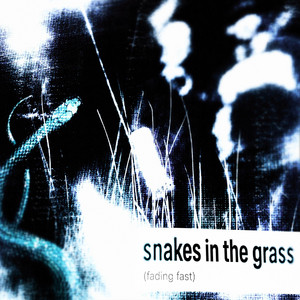 snakes in the grass (fading fast) by take luck
