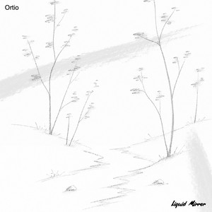 Liquid Mirror by Ortio