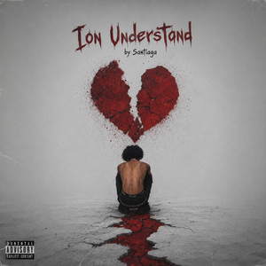 Ion Understand by Santiaga