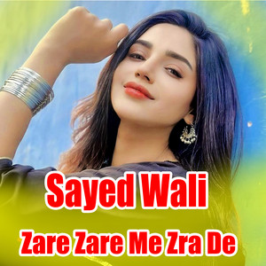 Sayed wali wazir - Zare Zare Me Zra De